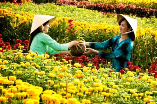 Tết ăn bánh đậu xanh Hữu Bình