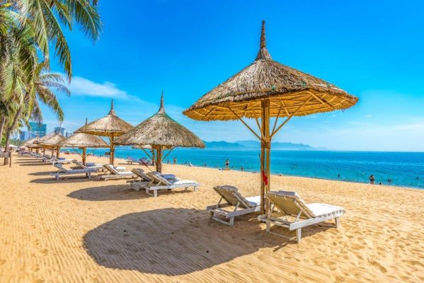 Bột đậu xanh hữu bình