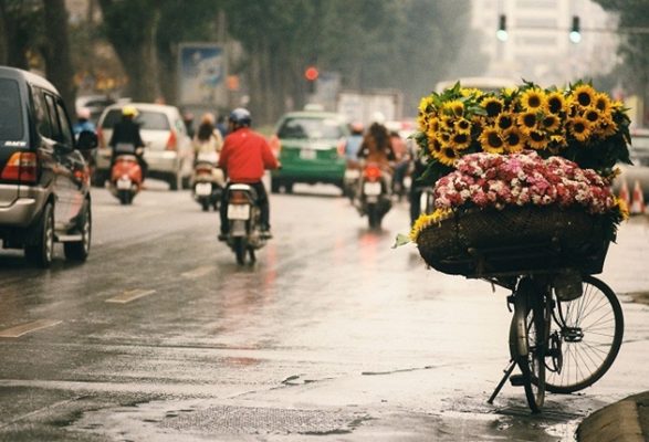 Mẫu bánh ngon cho tết 2020