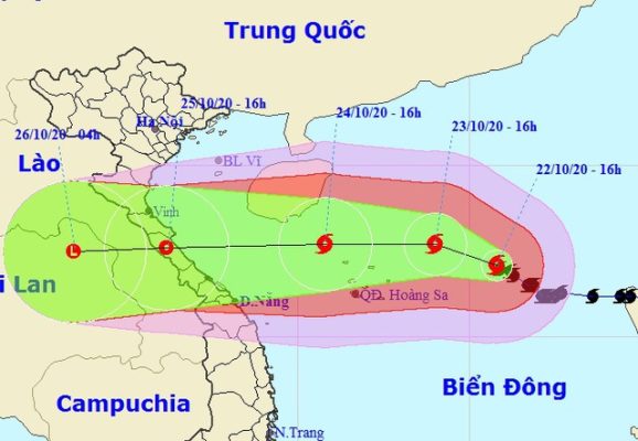 Mẫu bánh đậu xanh tết 2020
