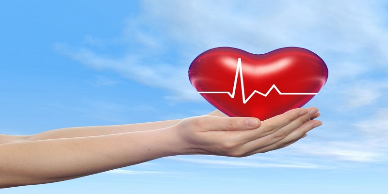 Giúp tim luôn khỏe mạnh Giúp tim luôn khỏe mạnh